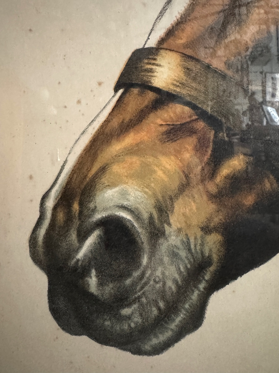 Horses By Léon Danchin-photo-6