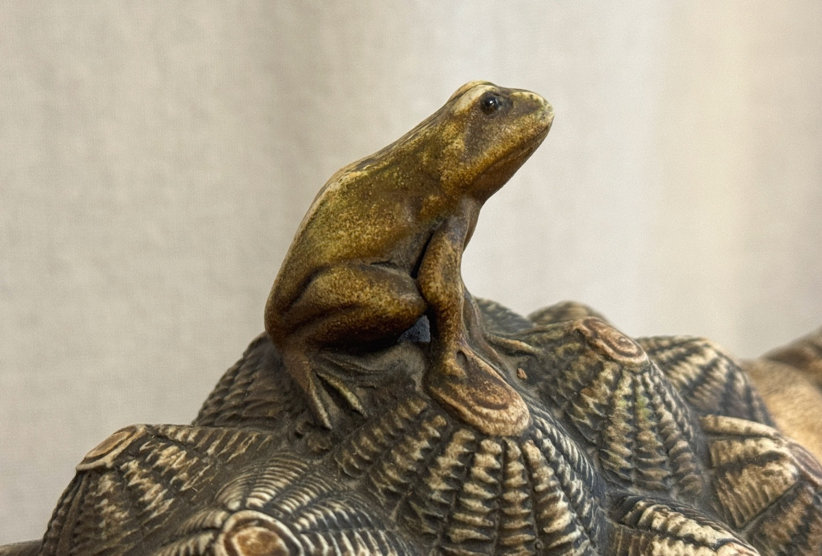 The Frog And The Tortoise.-photo-2