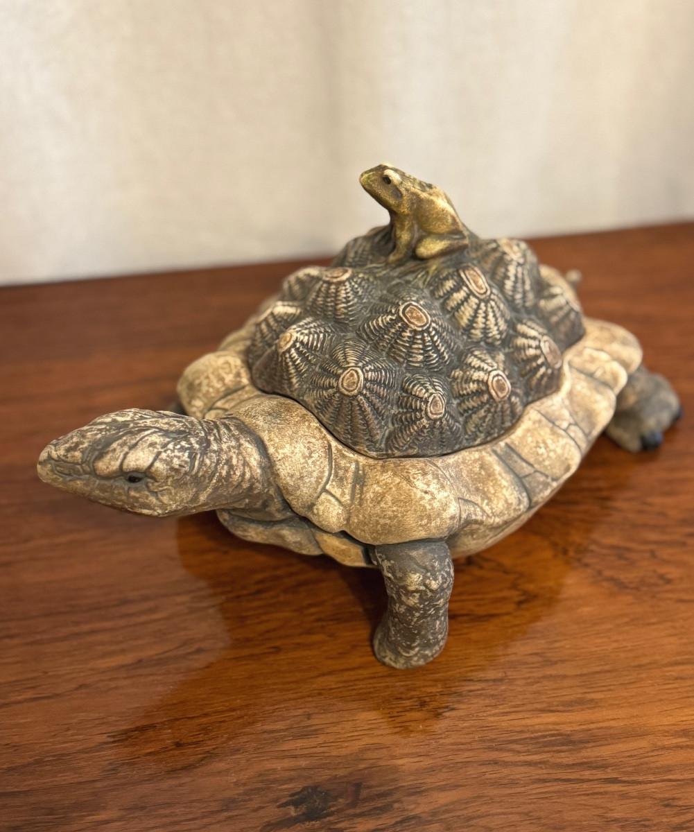 The Frog And The Tortoise.-photo-3