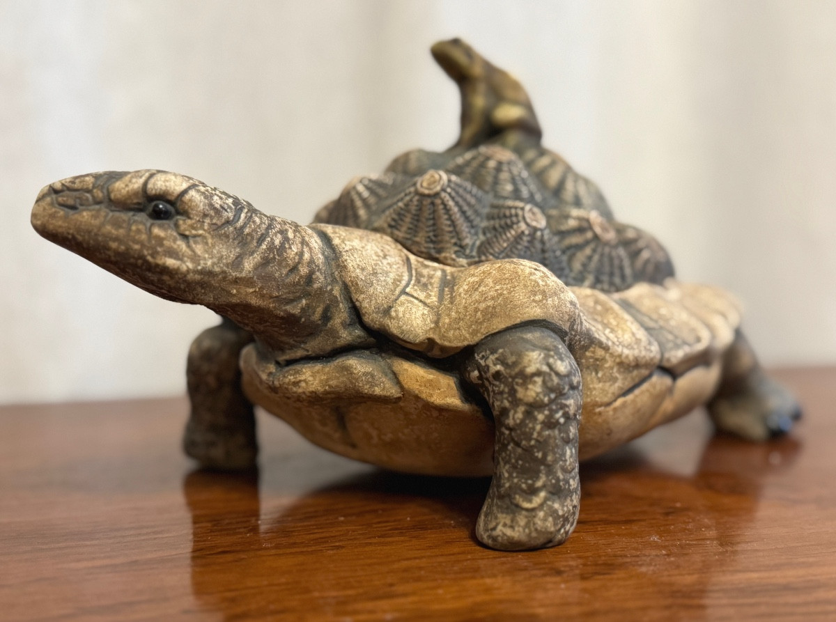 The Frog And The Tortoise.-photo-4