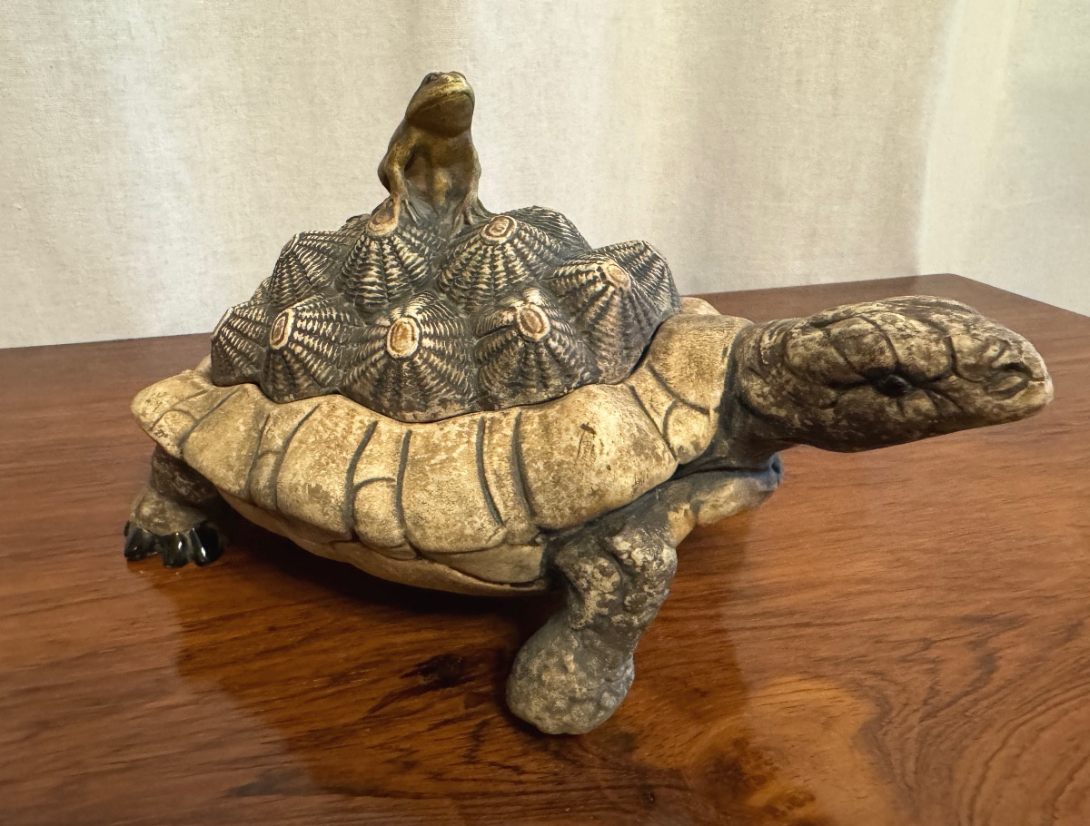 The Frog And The Tortoise.-photo-1