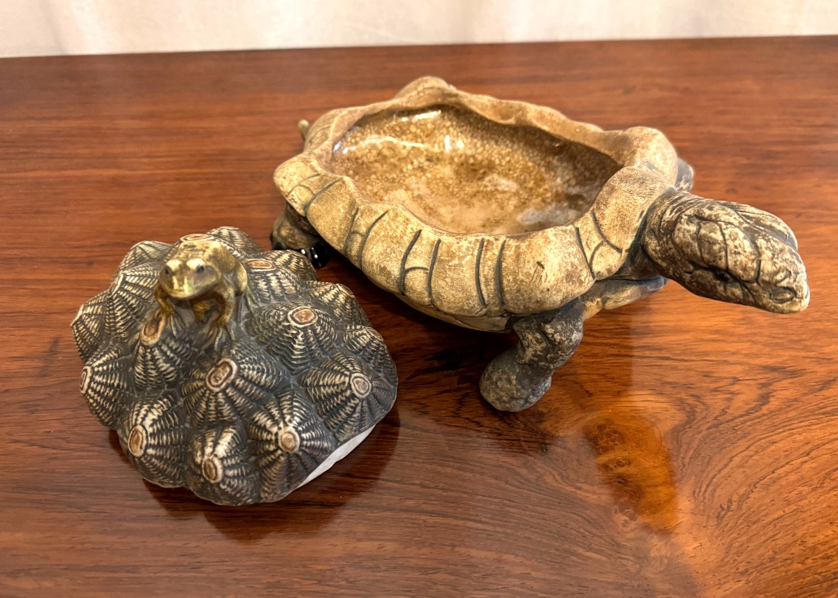 The Frog And The Tortoise.-photo-2