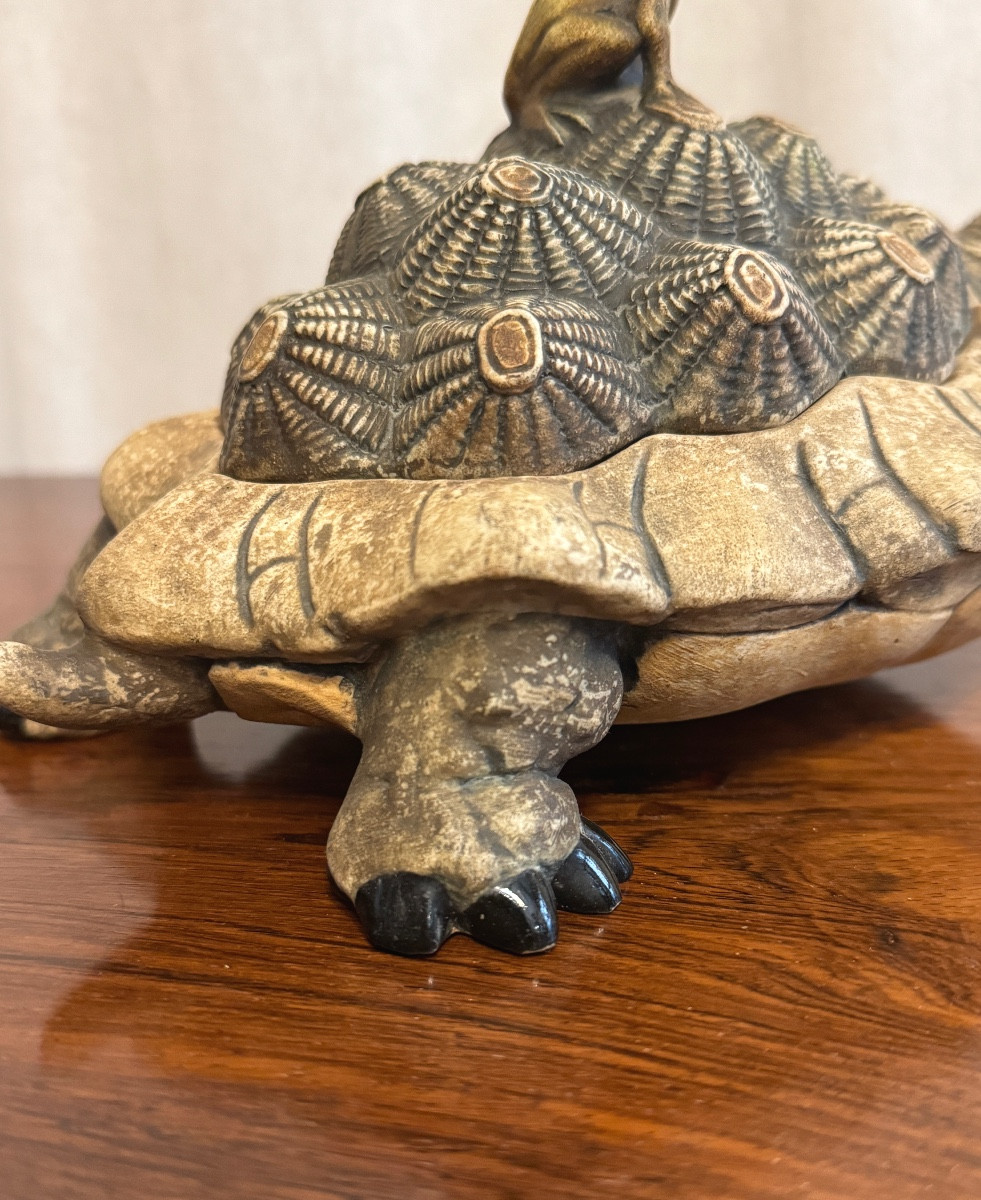 The Frog And The Tortoise.-photo-3