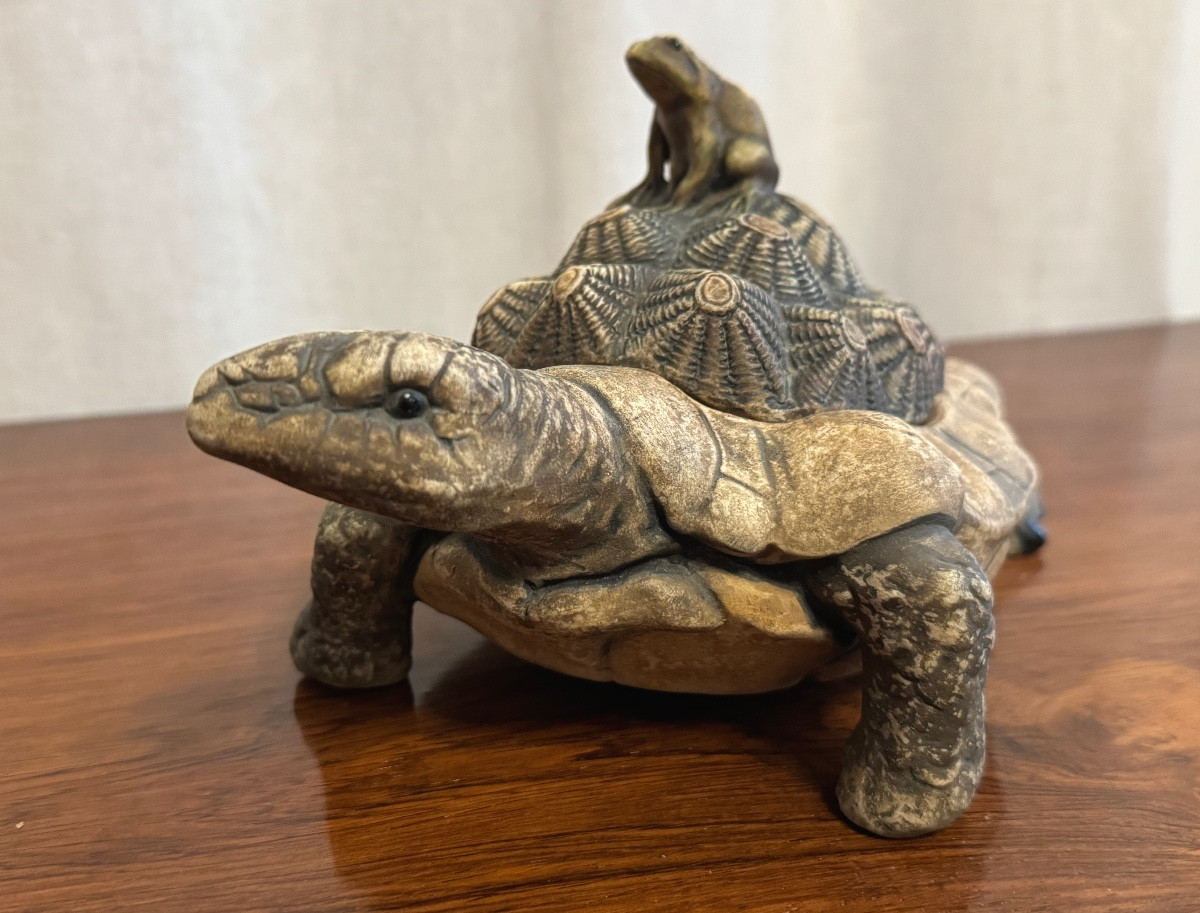 The Frog And The Tortoise.-photo-4