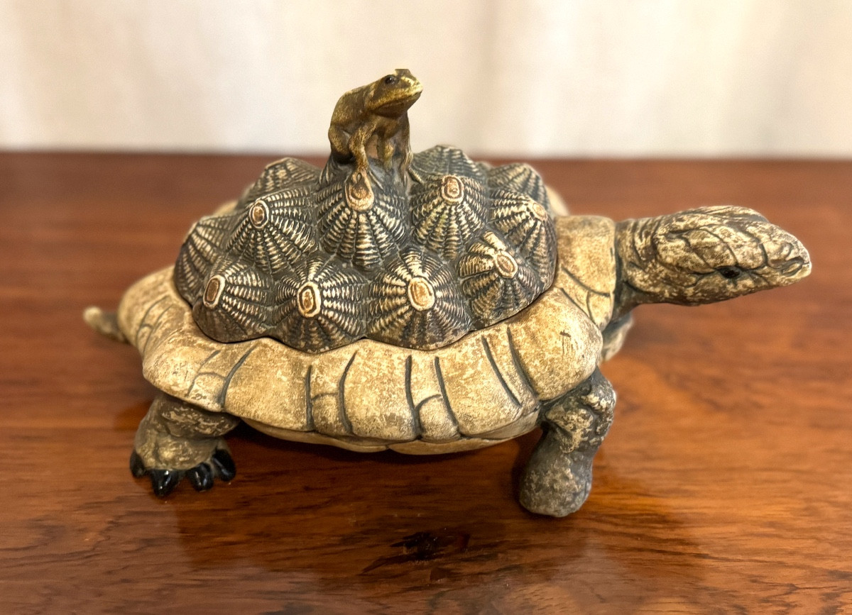 The Frog And The Tortoise.-photo-6