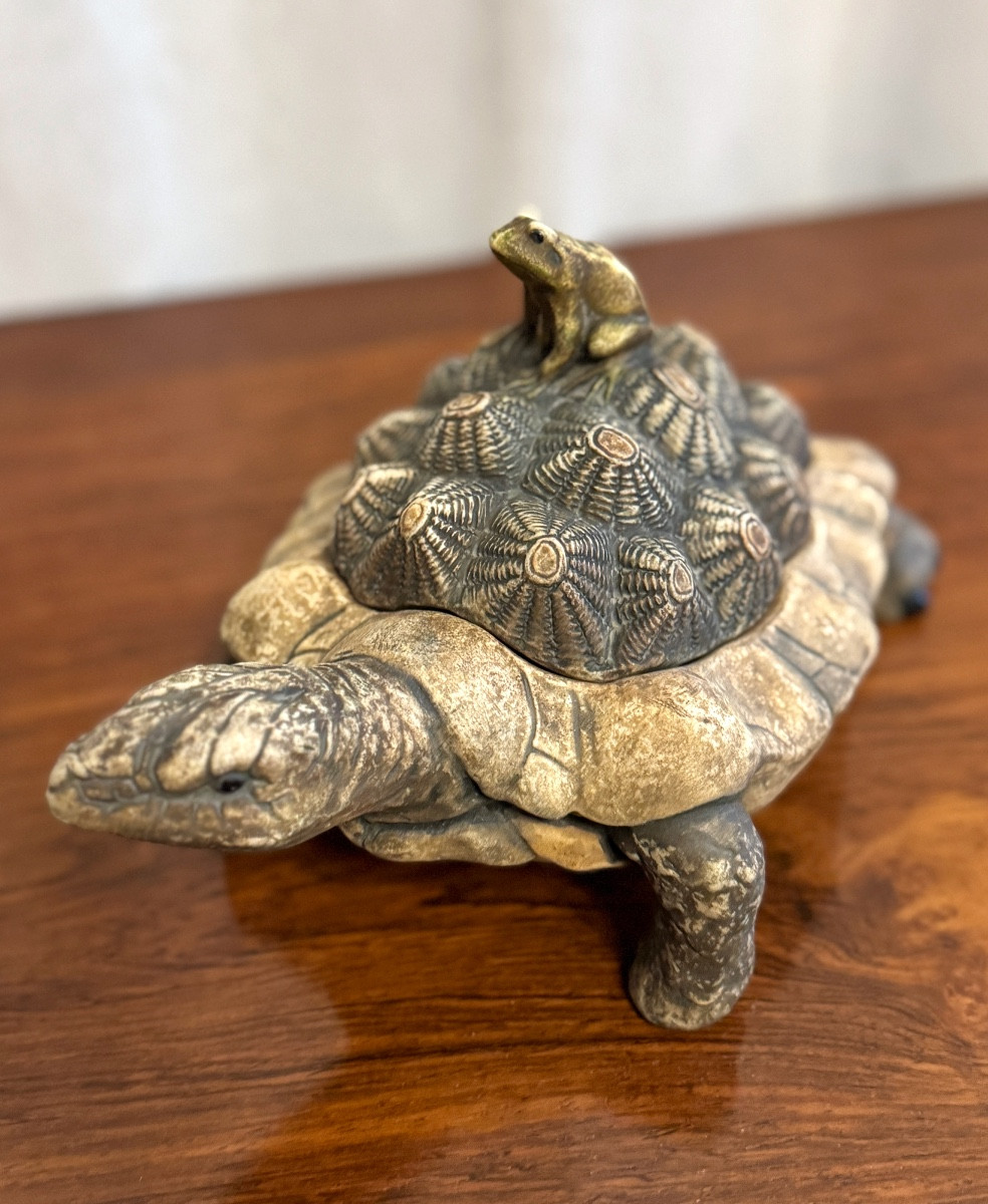 The Frog And The Tortoise.-photo-7