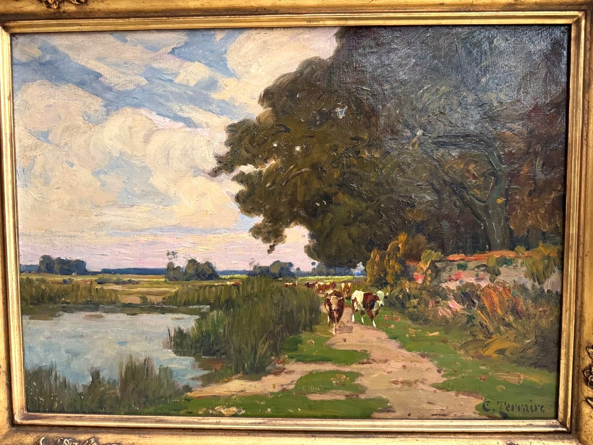 The Cows, From The Pond To The Path-photo-8