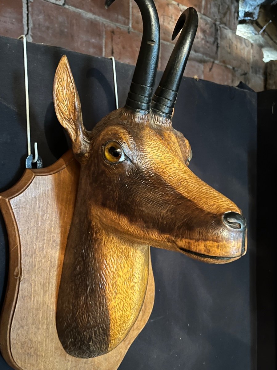 Chamois Head In Carved Wood-photo-3
