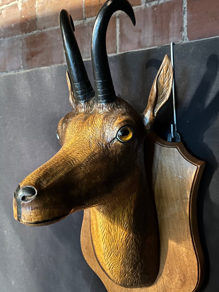 Chamois Head In Carved Wood-photo-1