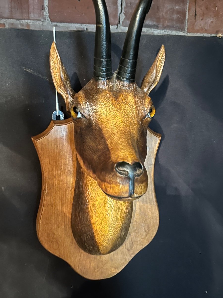 Chamois Head In Carved Wood