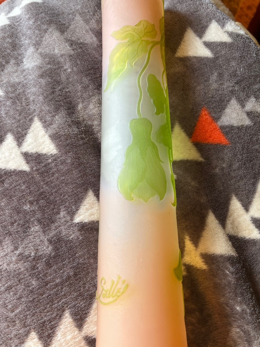 Gallé Vase With Floral Decor On A Pink Background-photo-8
