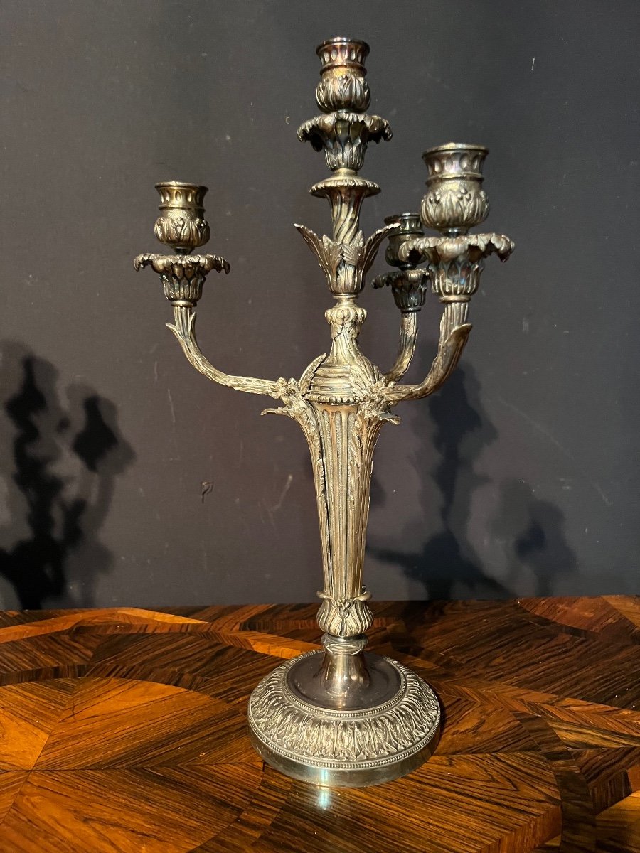 Paire De Candélabres En Bronze Argenté De Style Louis XVI -photo-2