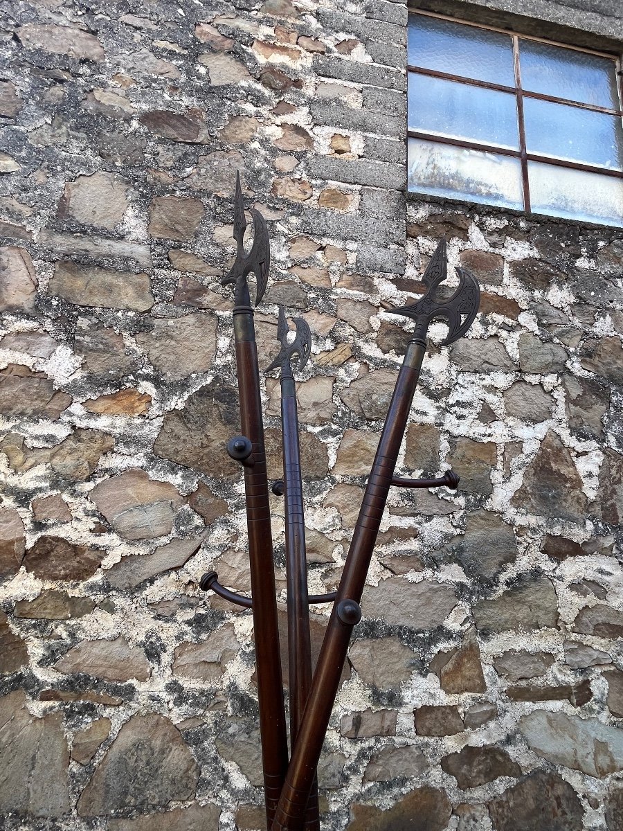 Curious Coat Rack In The Shape Of A Halberd-photo-3