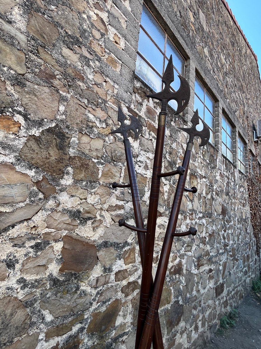 Curious Coat Rack In The Shape Of A Halberd-photo-4