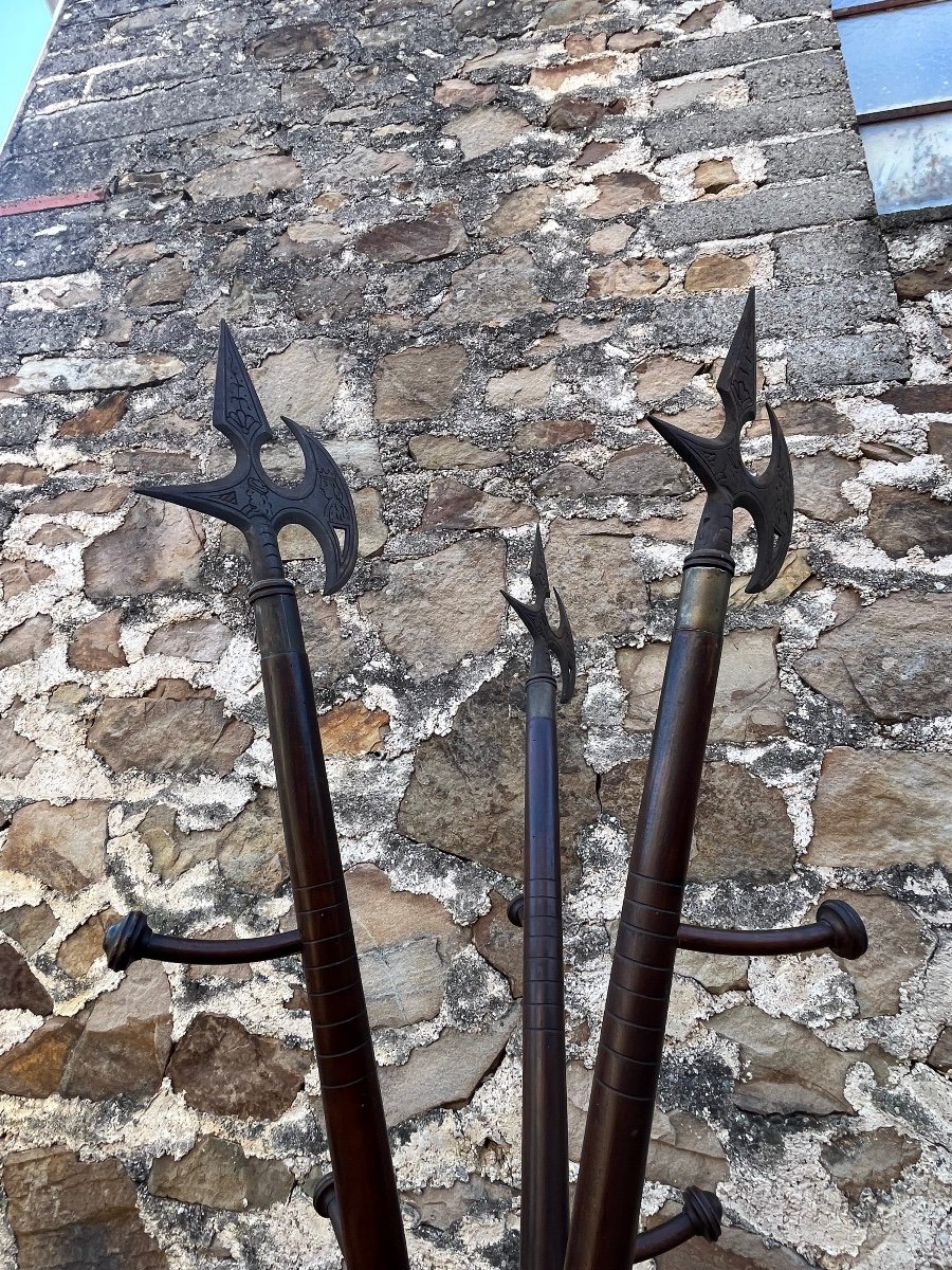 Curious Coat Rack In The Shape Of A Halberd-photo-8