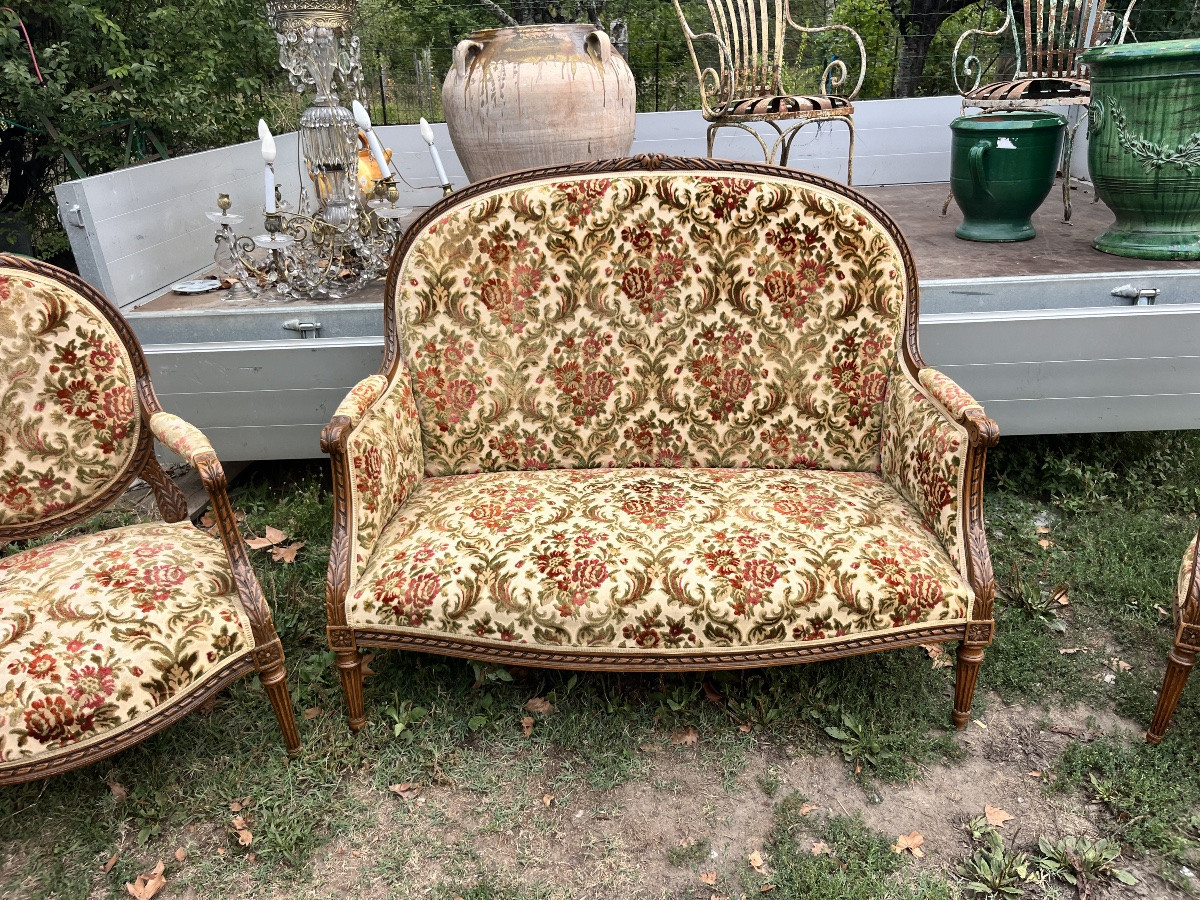 Louis XVI Style Living Room -photo-3