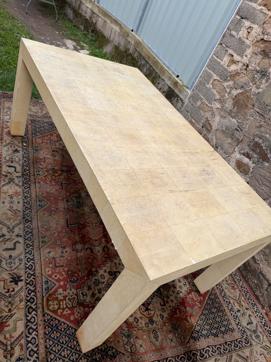 Importante table en galuchat (180/100)-photo-4