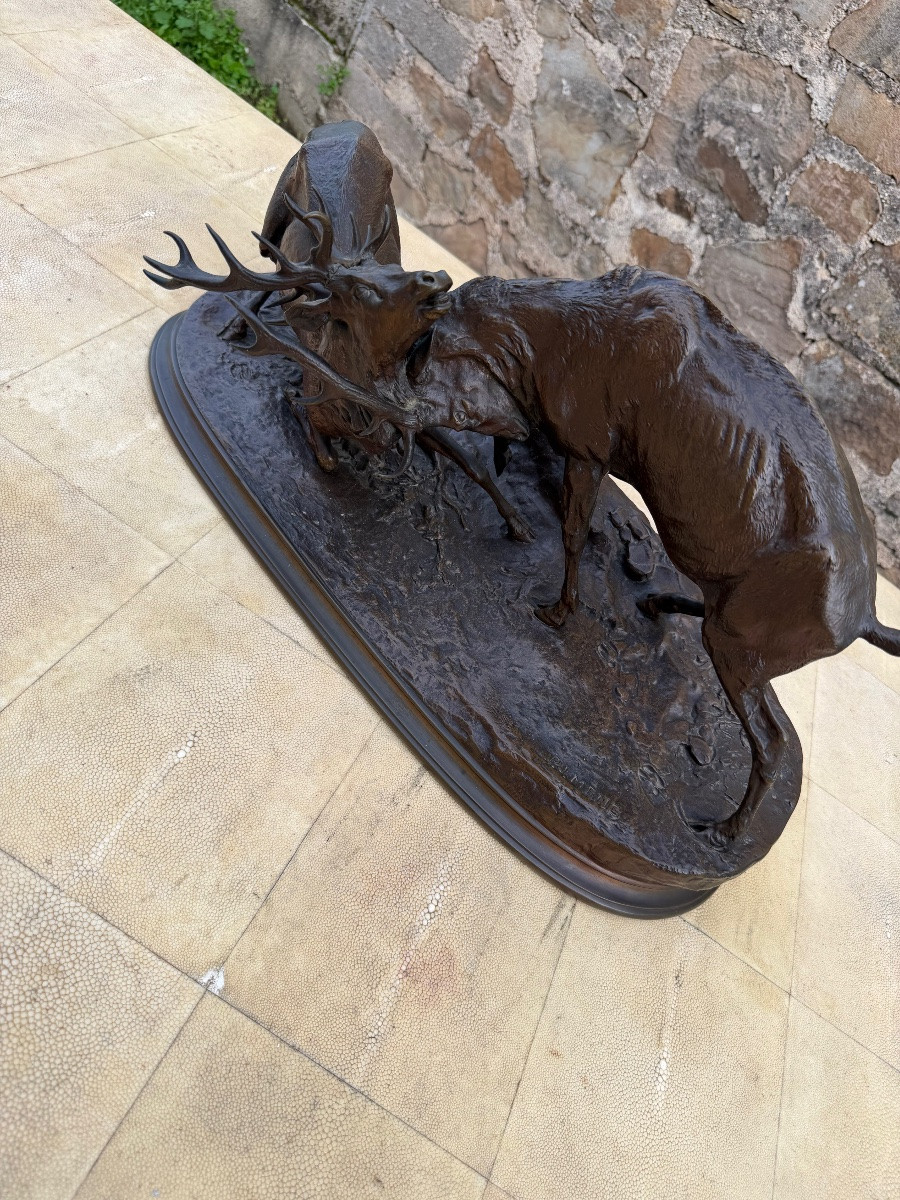 P J Mène. Combat de cerfs -photo-2