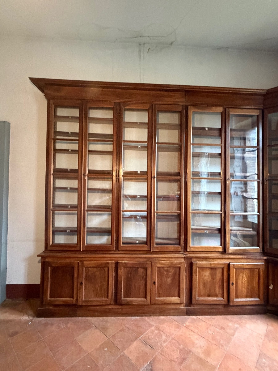 Walnut Bookcase, 19th Century-photo-3
