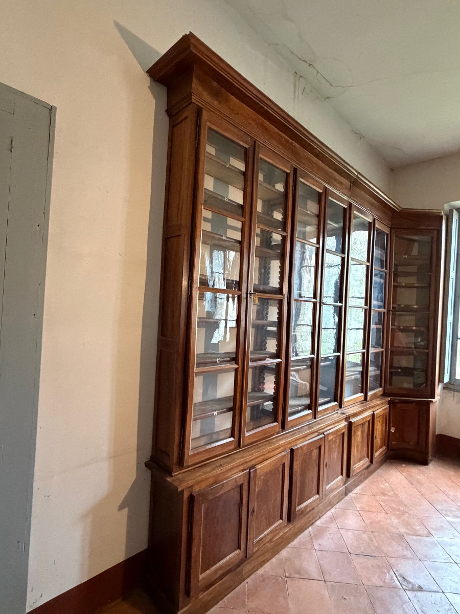 Walnut Bookcase, 19th Century-photo-4