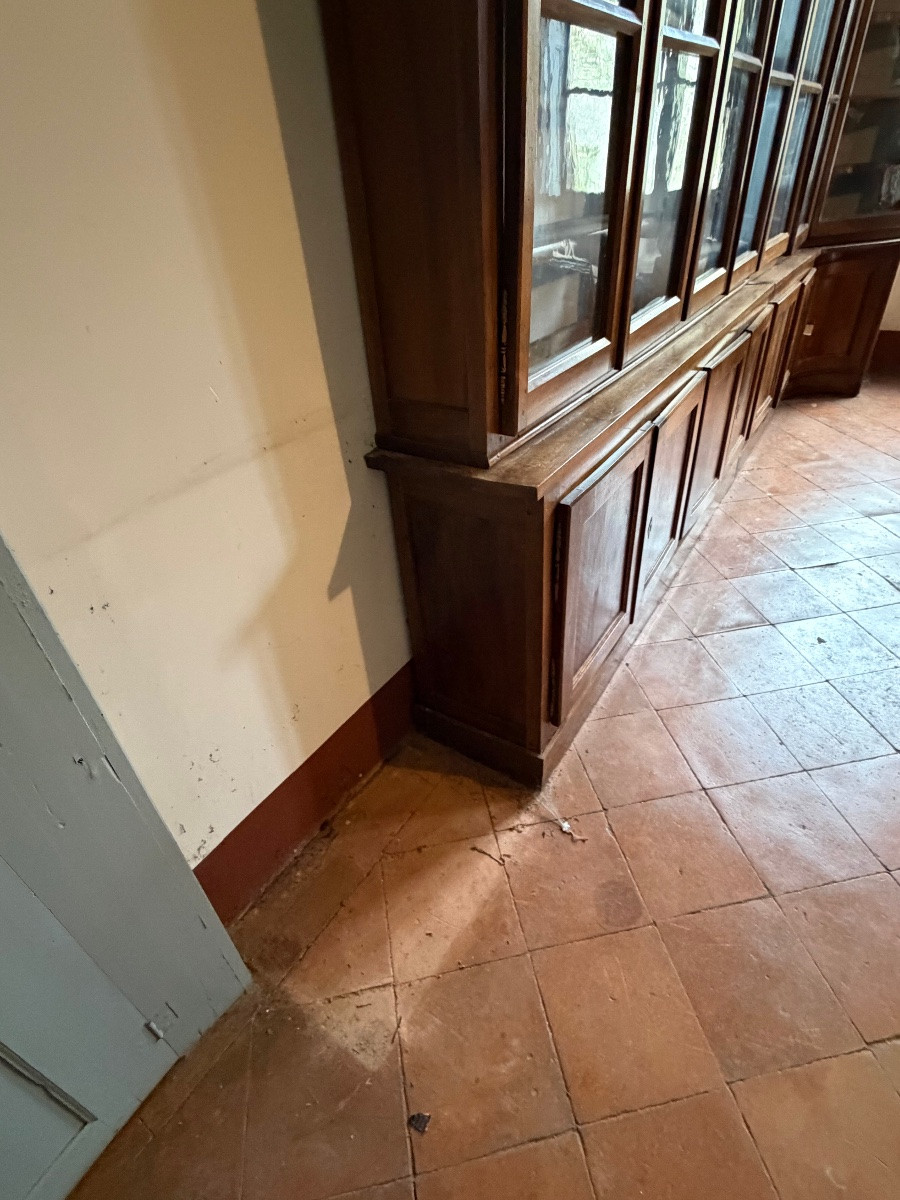 Walnut Bookcase, 19th Century-photo-2