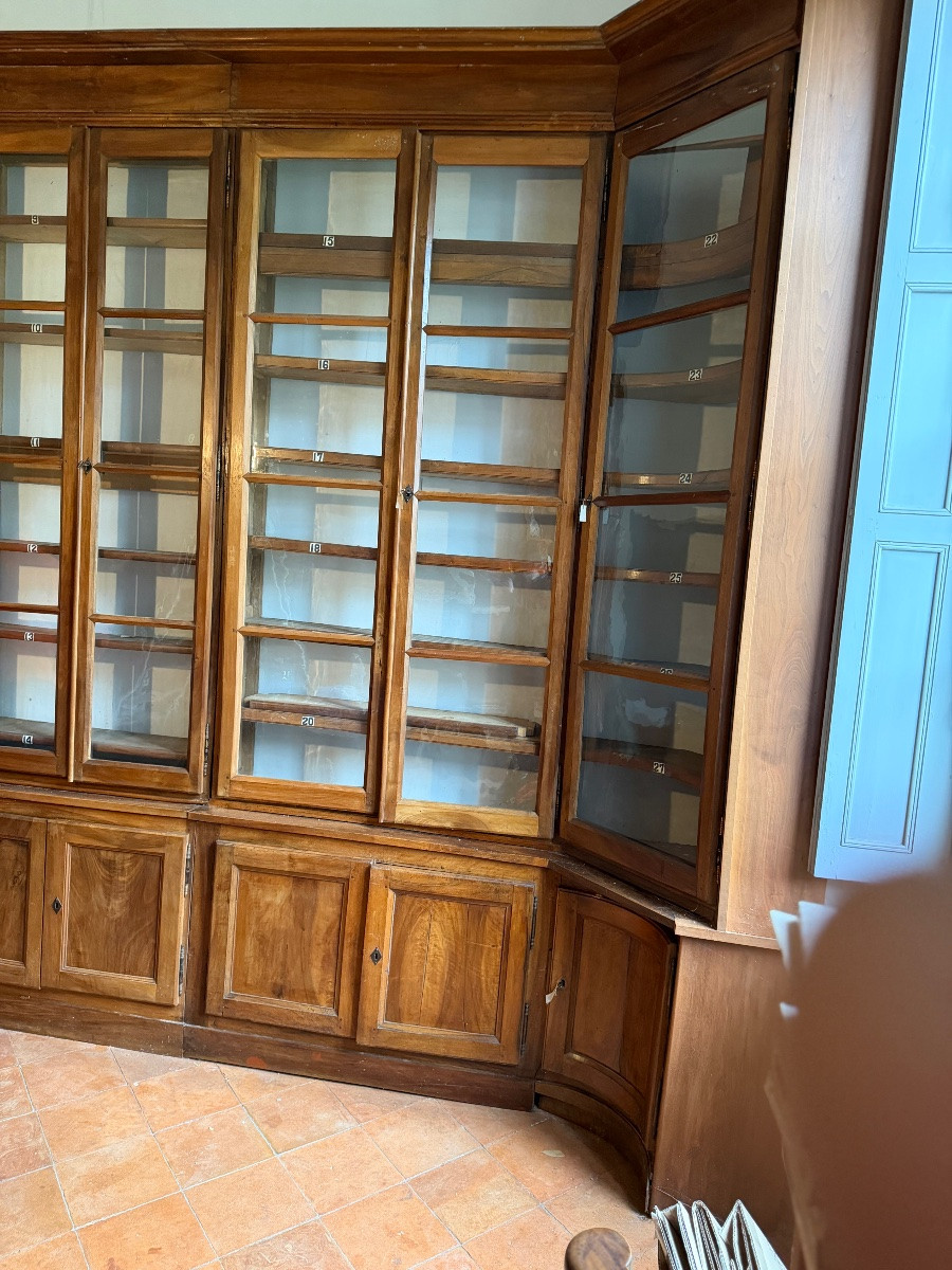 Walnut Bookcase, 19th Century-photo-3