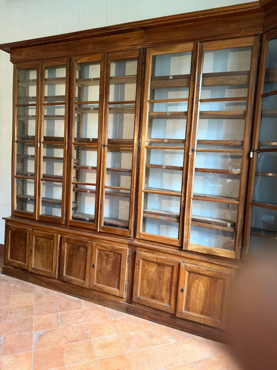 Walnut Bookcase, 19th Century-photo-4