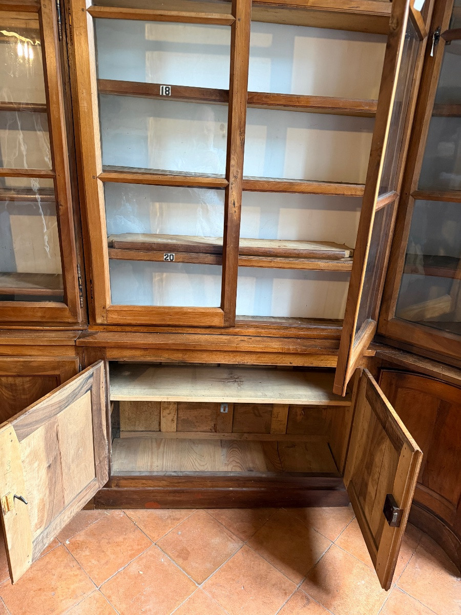 Walnut Bookcase, 19th Century-photo-6