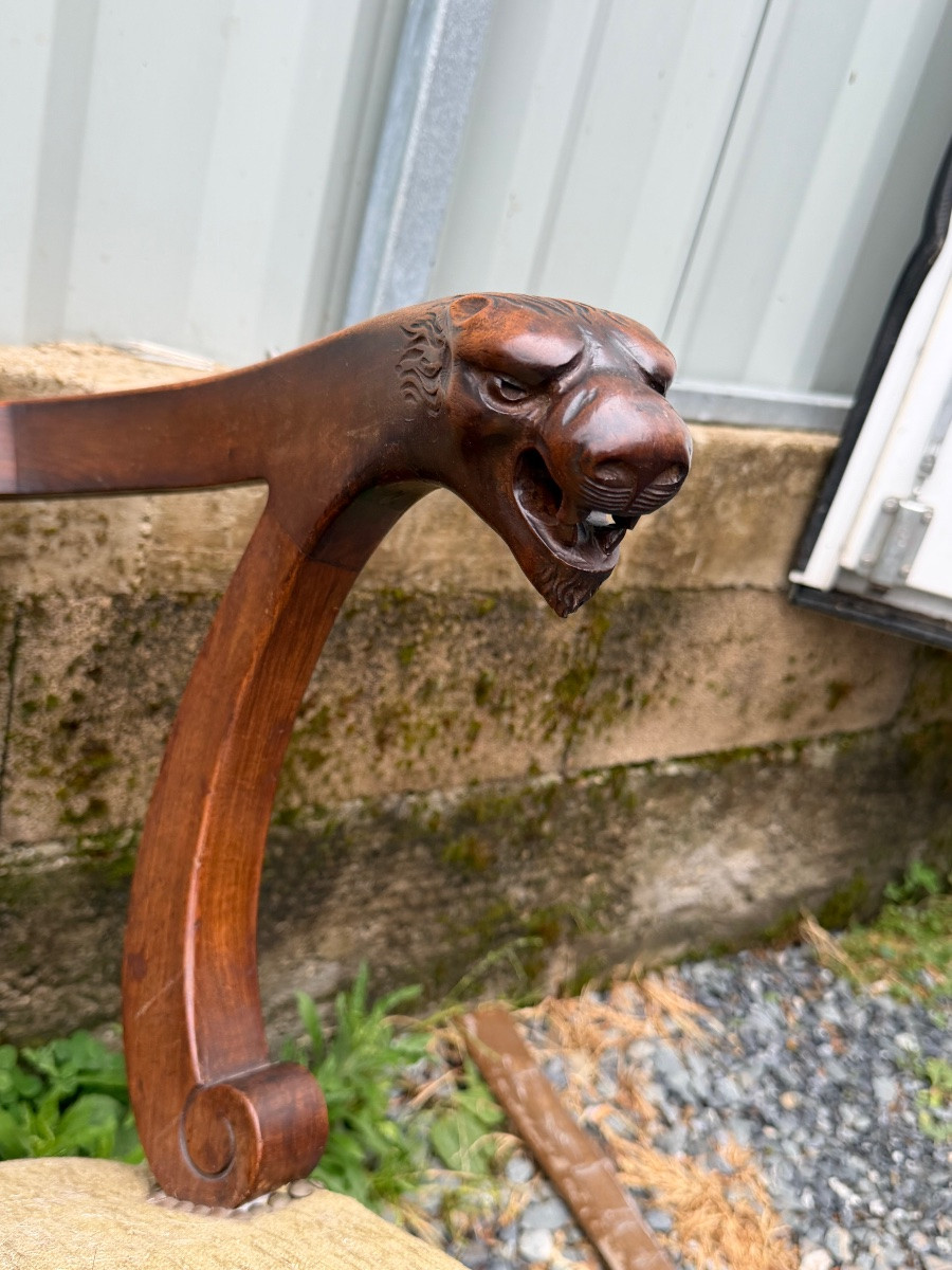 Paire de fauteuils à têtes de lions -photo-4