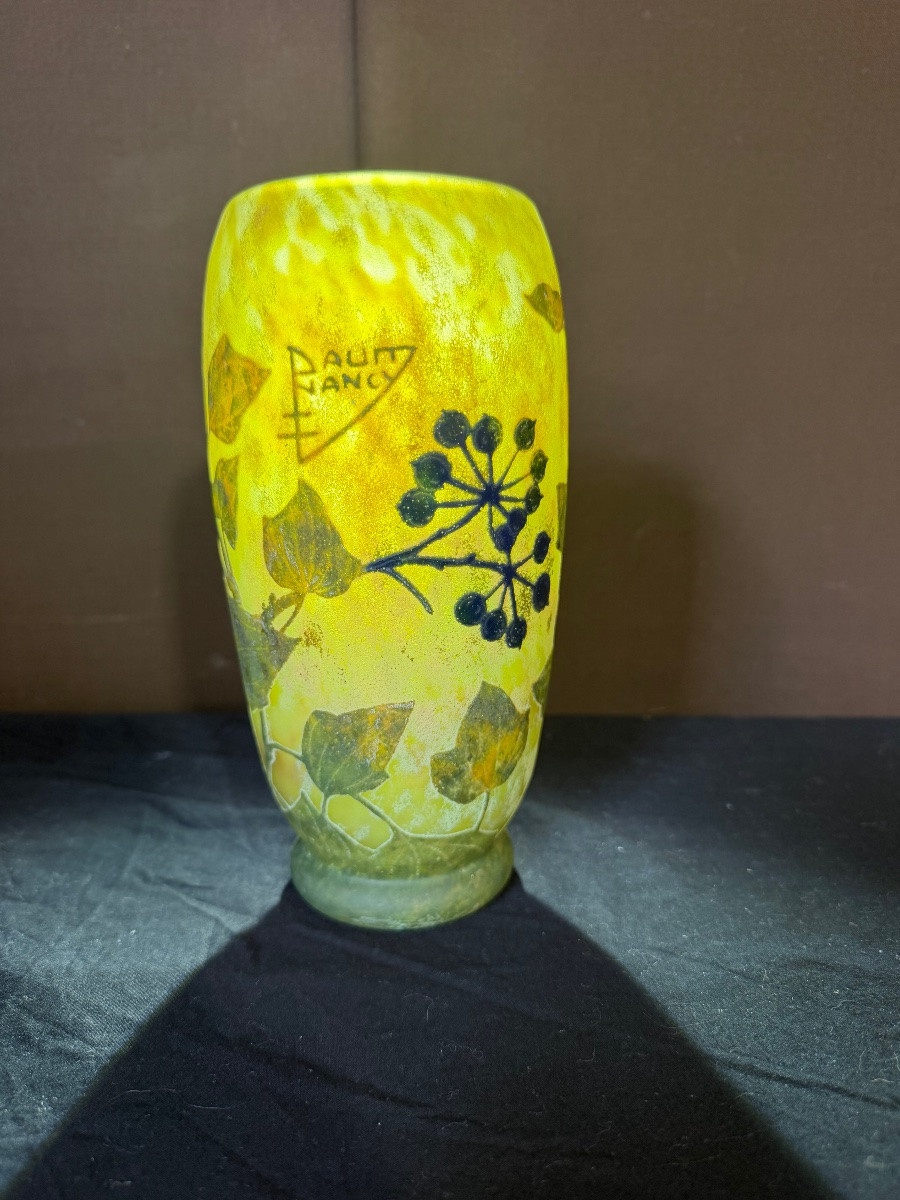 Vase Daum Nancy en verre gravé multicouche -photo-3