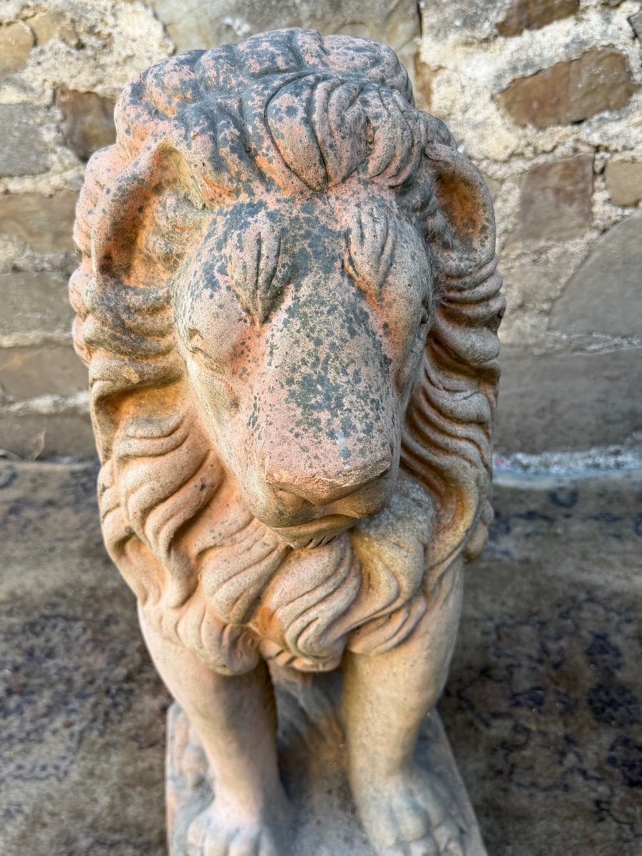 Pair Of Terracotta Lions -photo-3