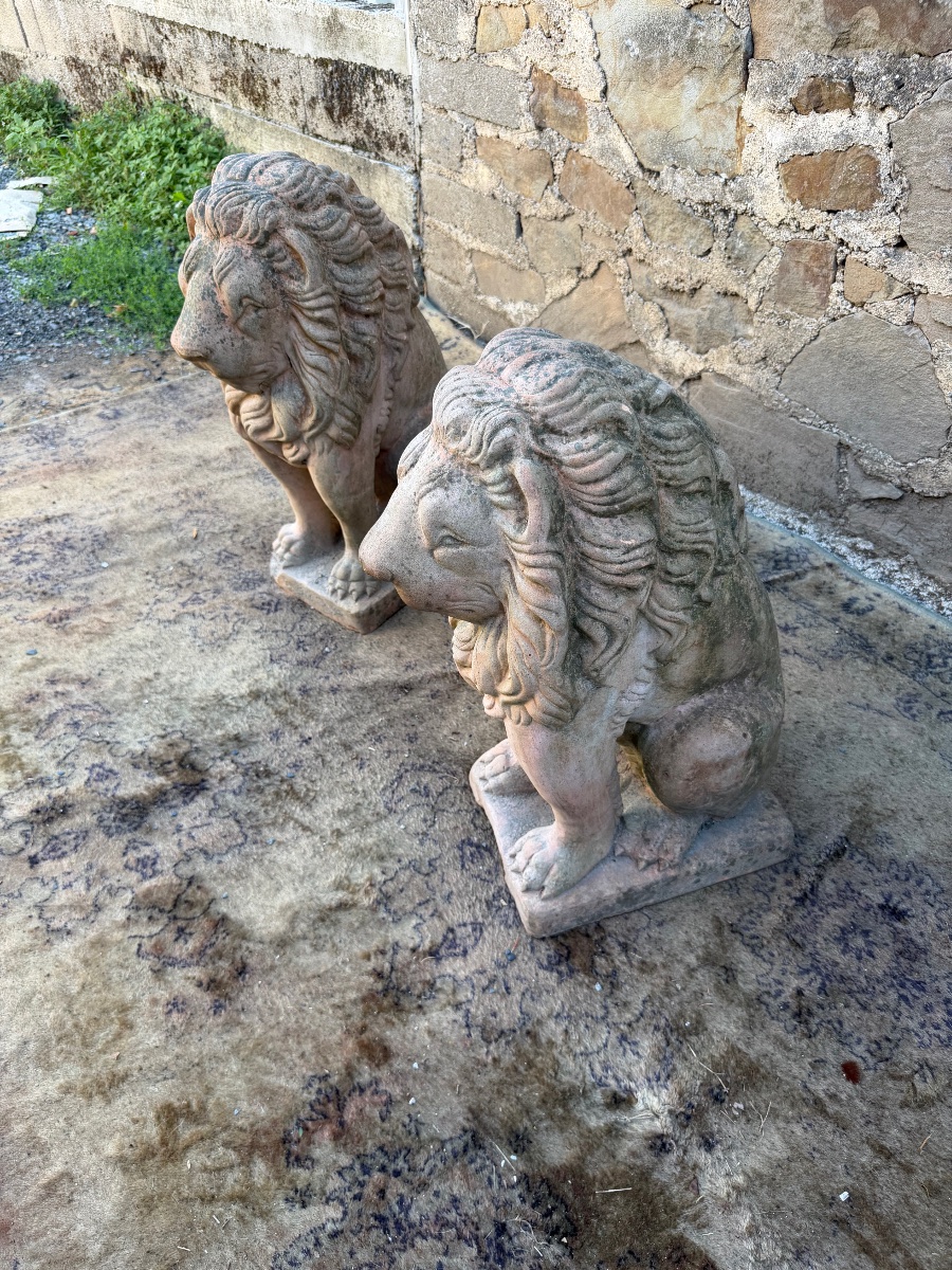 Pair Of Terracotta Lions -photo-4