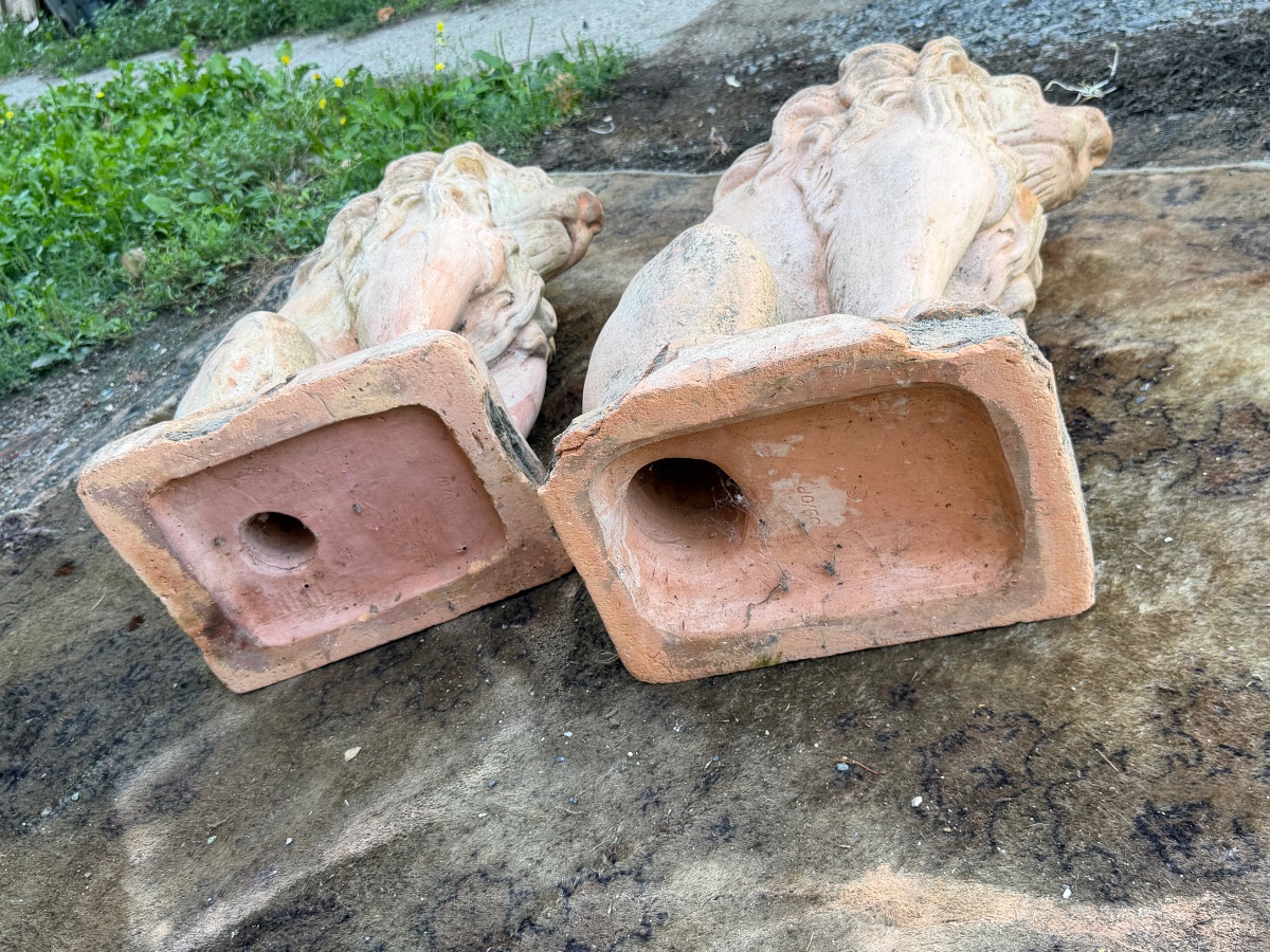 Pair Of Terracotta Lions -photo-5