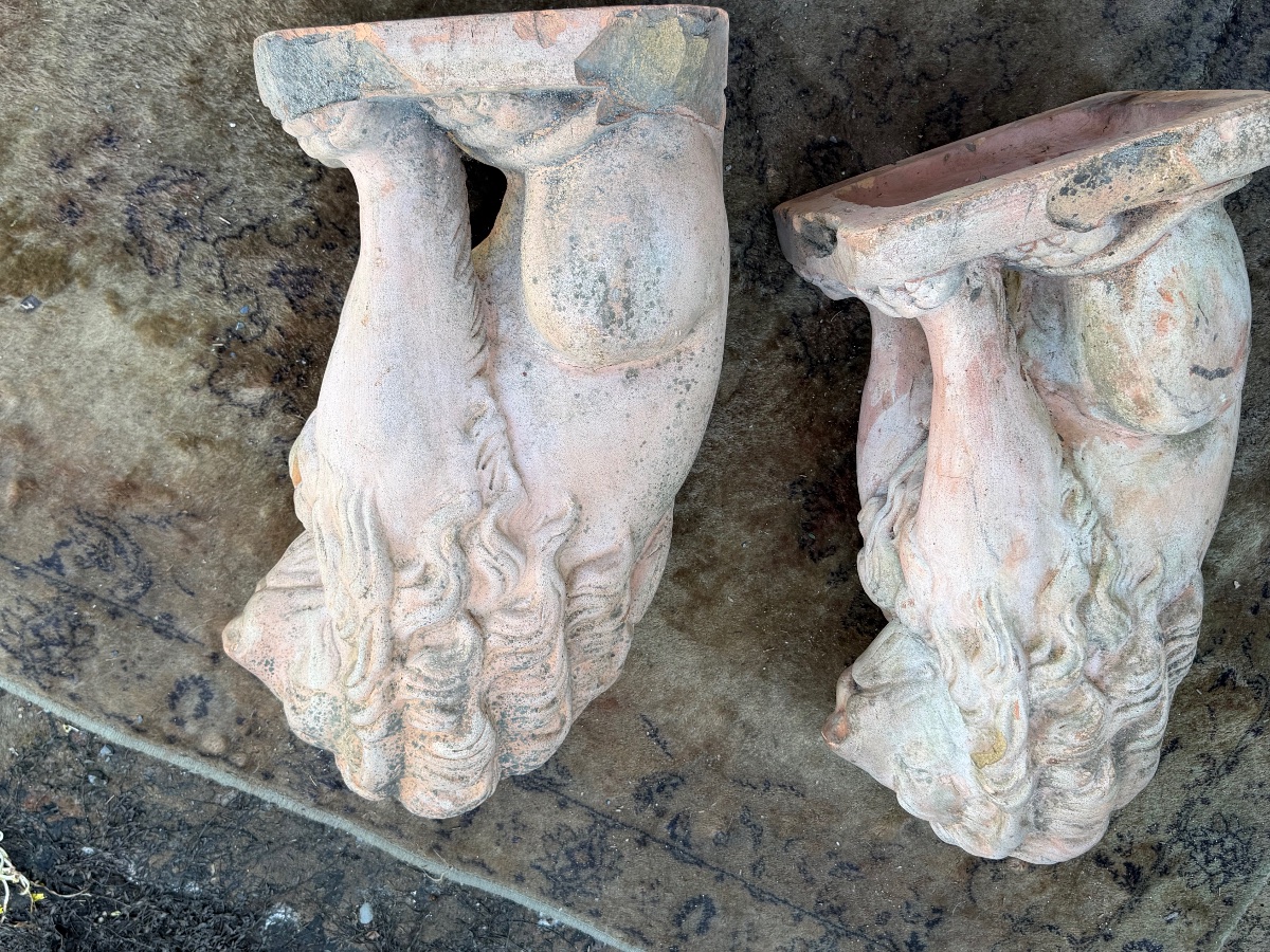 Pair Of Terracotta Lions -photo-6