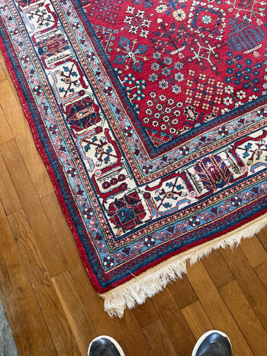 Oriental Rugs (225/275)-photo-2