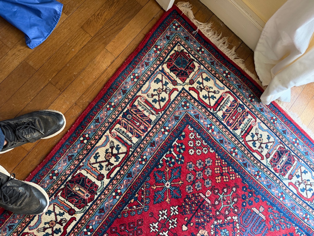 Oriental Rugs (225/275)-photo-1