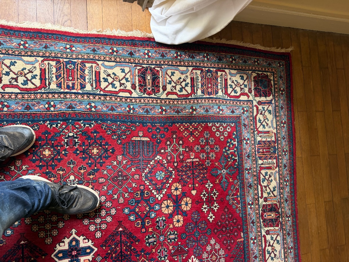 Oriental Rugs (225/275)-photo-2