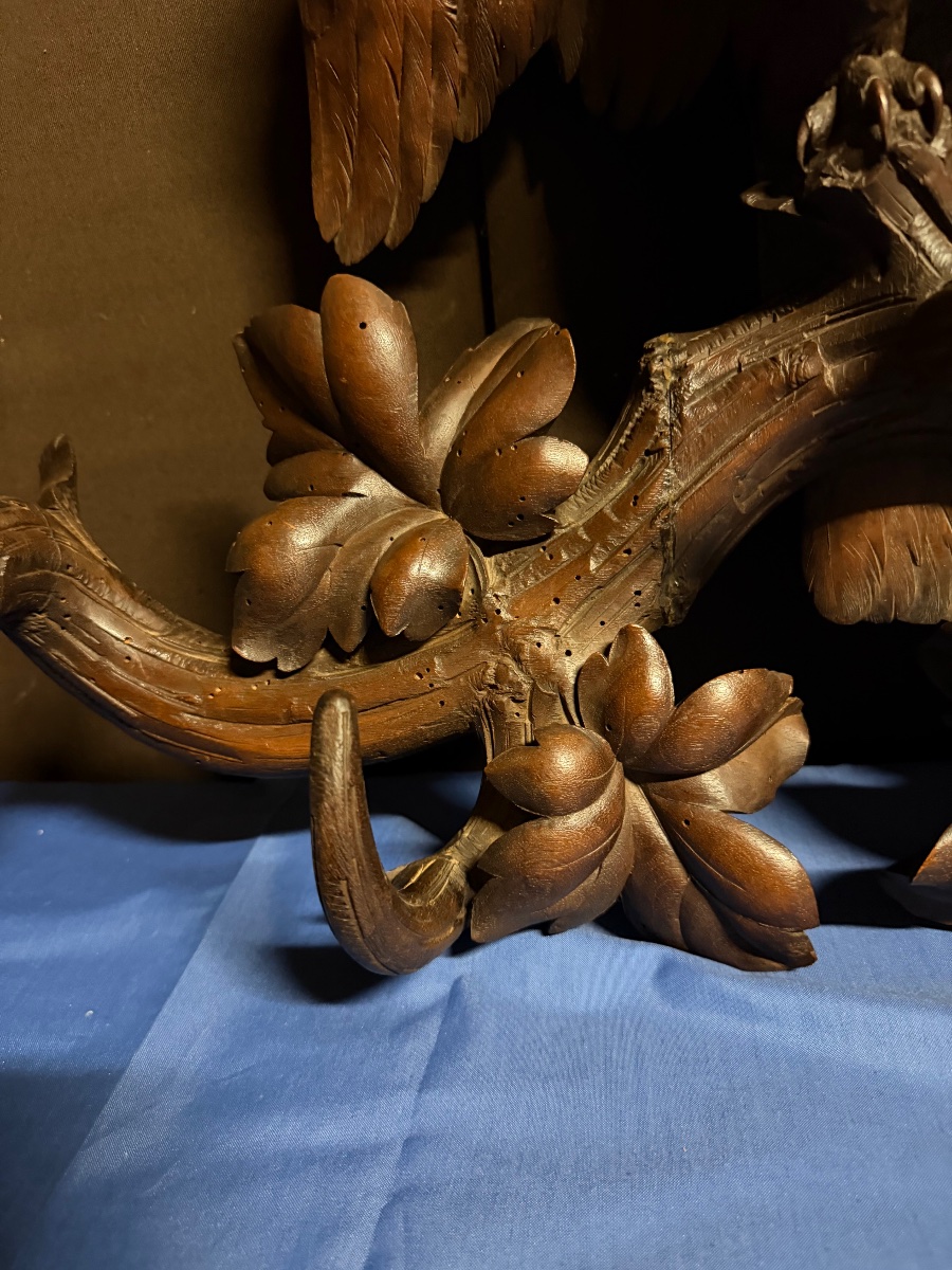 Porte manteau forêt noire -photo-3