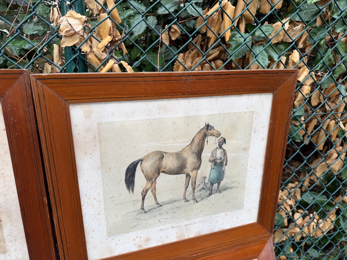 Quatre gravures de chevaux-photo-3