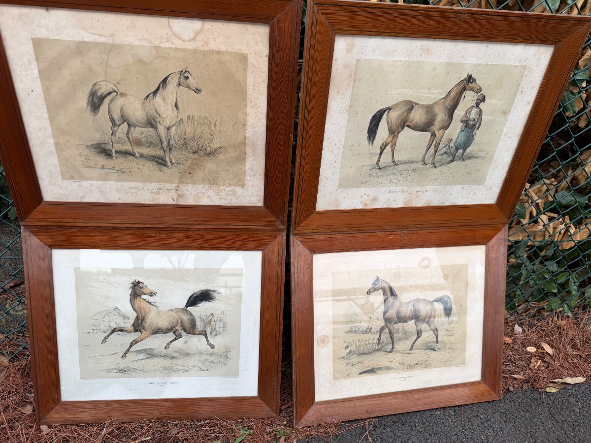 Quatre gravures de chevaux