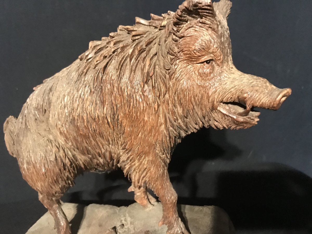 Exceptional Black Forest Carved Boar By Peter Buri-photo-2