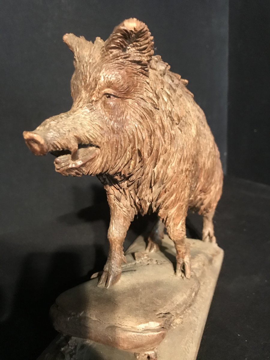 Exceptional Black Forest Carved Boar By Peter Buri-photo-2
