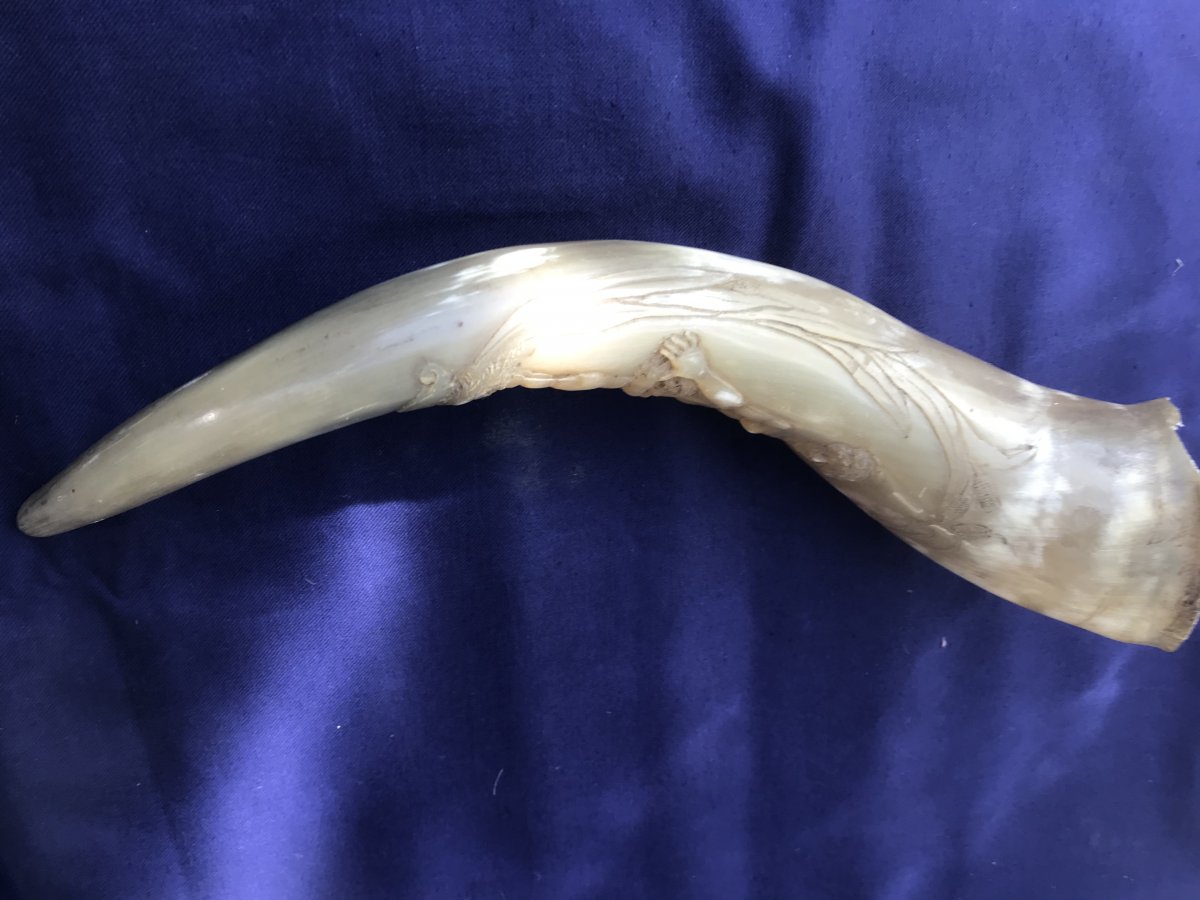 Carved Horn-photo-2