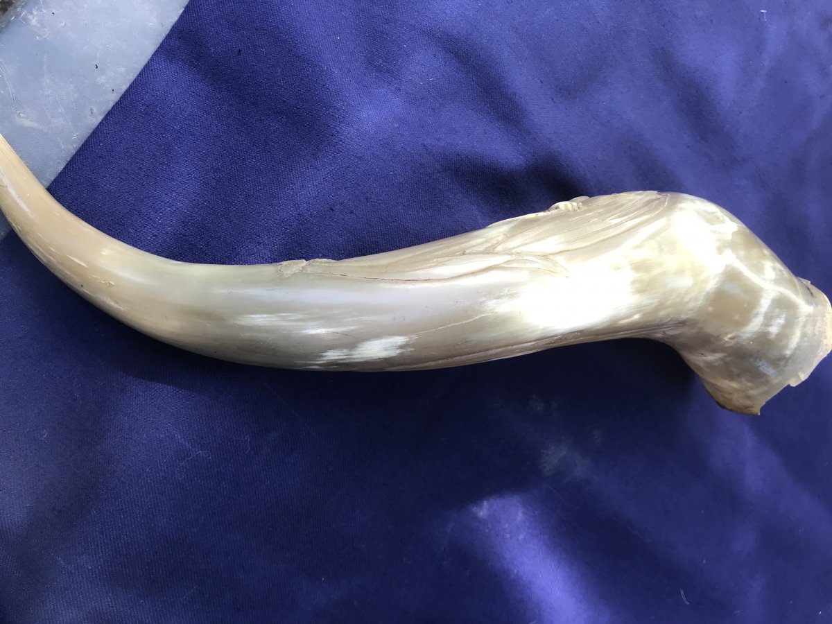 Carved Horn-photo-3