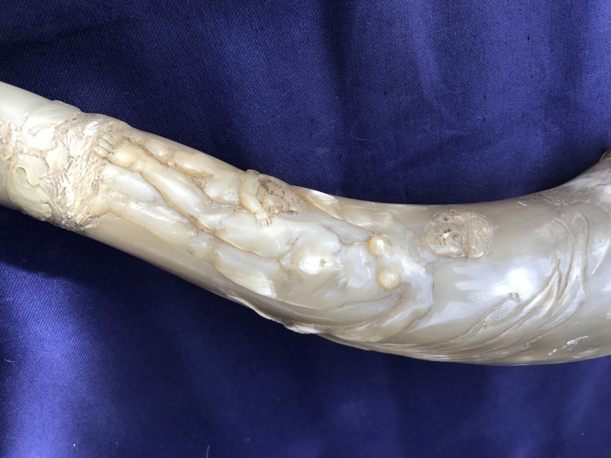 Carved Horn