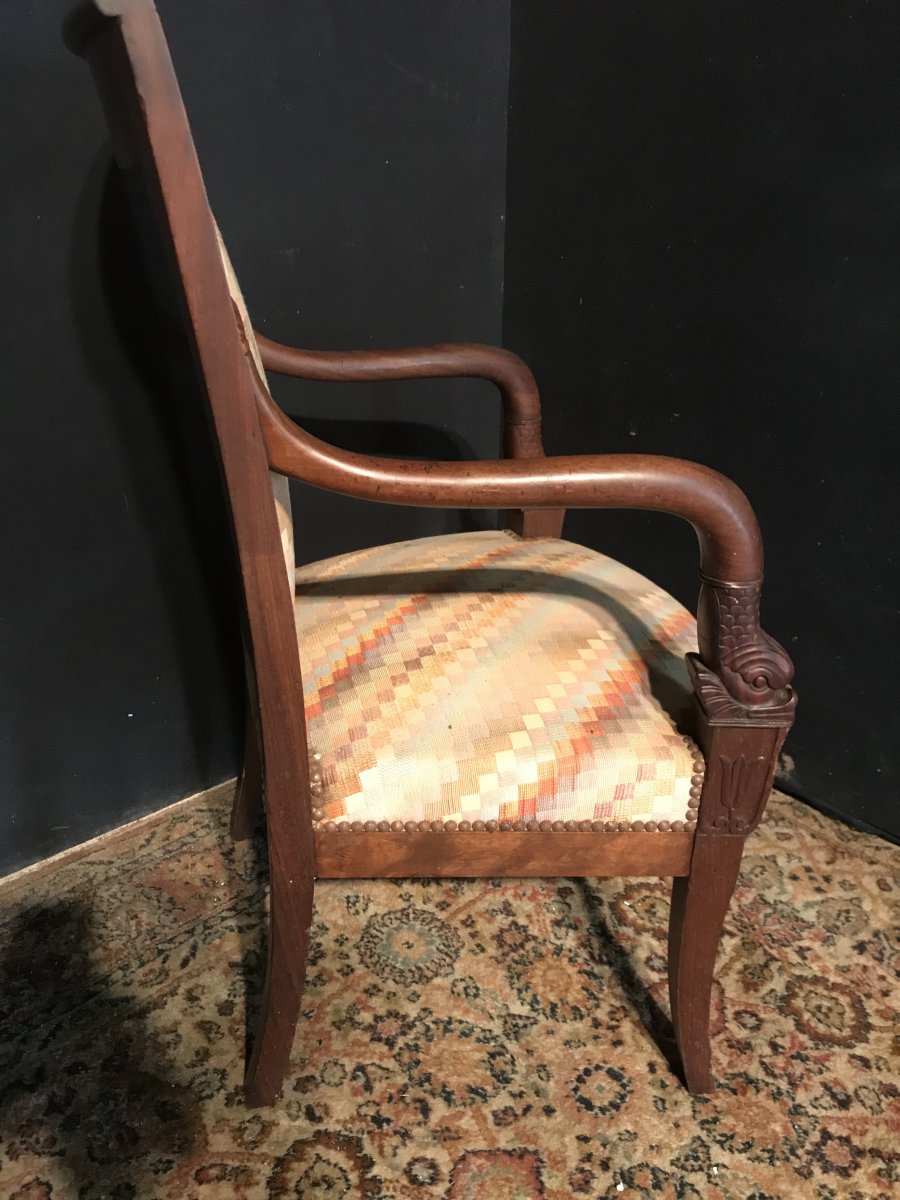 Fauteuil à Tête De Dauphin-photo-4