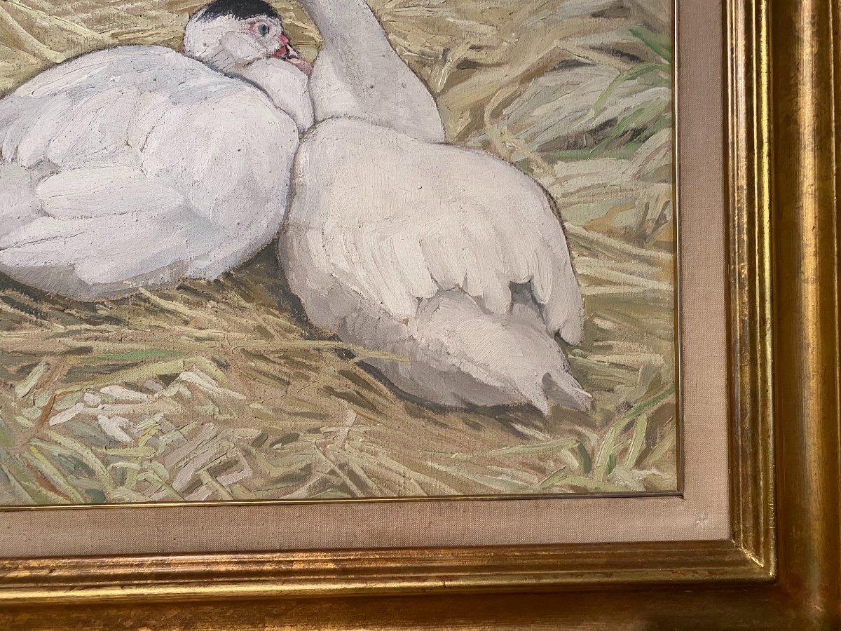 Hélène Rivières Peintre Toulousain Représentant Des Canards -photo-2