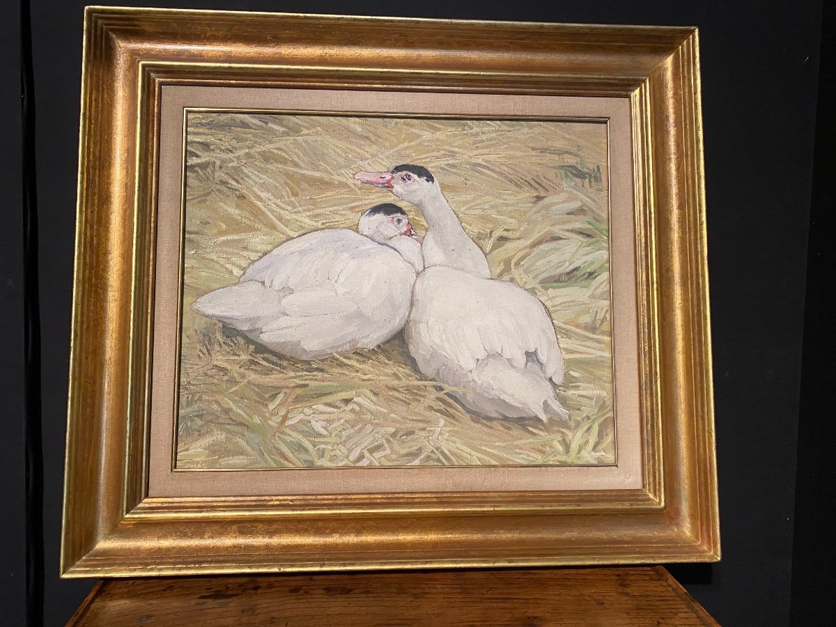 Hélène Rivières Peintre Toulousain Représentant Des Canards 