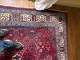 1824416-alb-6aae7fbd56e50.jpg