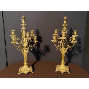 Pair Of Candelabra In Gilt Bronze